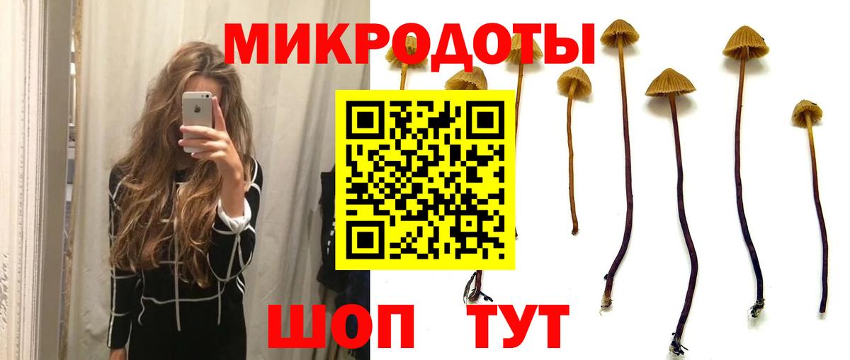 Галлюциногенные грибы Psilocybe  купить  сайты  Южноуральск  Псилоцибиновые грибы MAGIC MUSHROOMS  Вход с VPN 